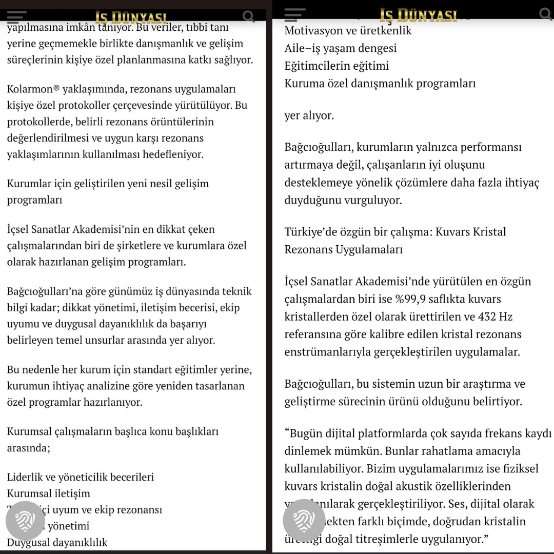 Hande Dengim Bağcıoğulları - İçsel Sanatlar Akademisi İş Dünyası Dergisi 01 Ağustos 2026 _3