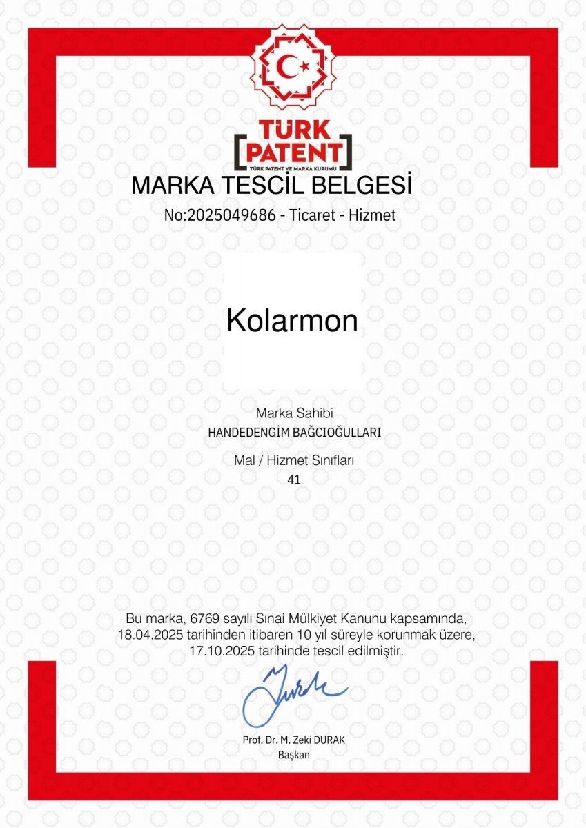 Hande Dengim Bağcıoğulları Fikri Mülkiyet Hakları_2